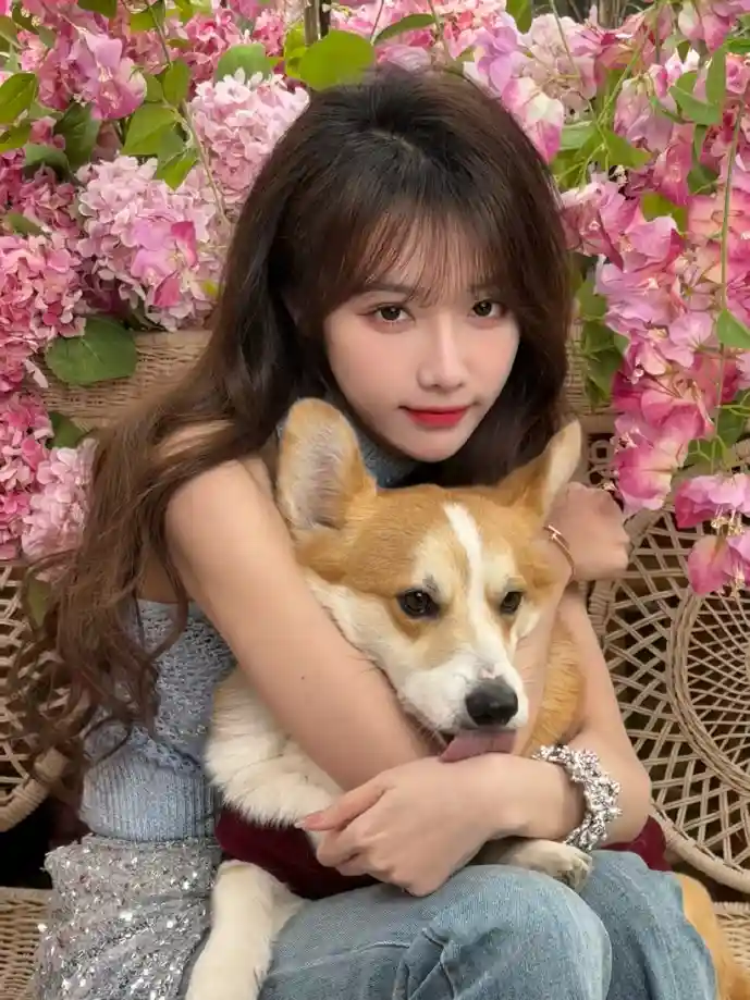 中油优途App界面展示